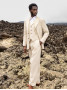 Anzugjacke aus Leinen und Baumwolle beige - Heol