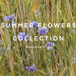 Die Kollektion Summer Flowers